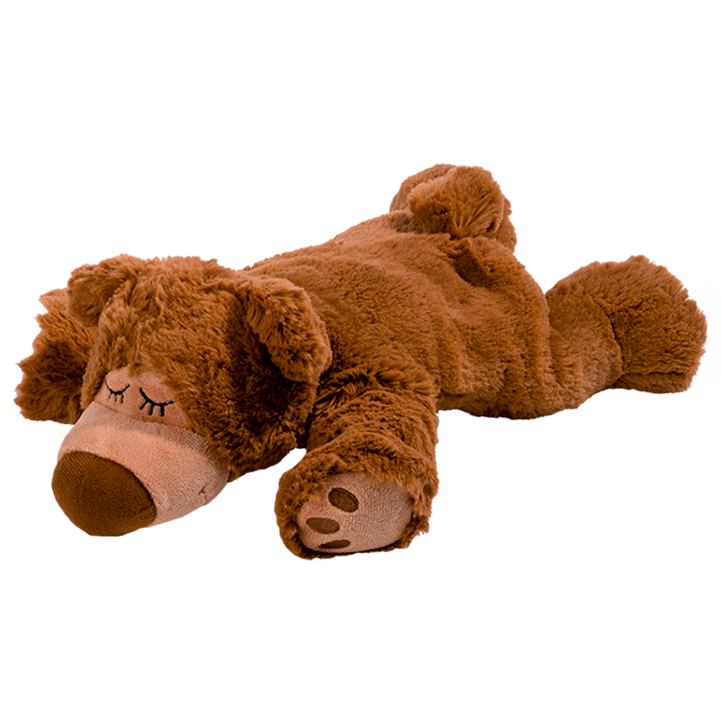 Sömnig brun björn MIDAL