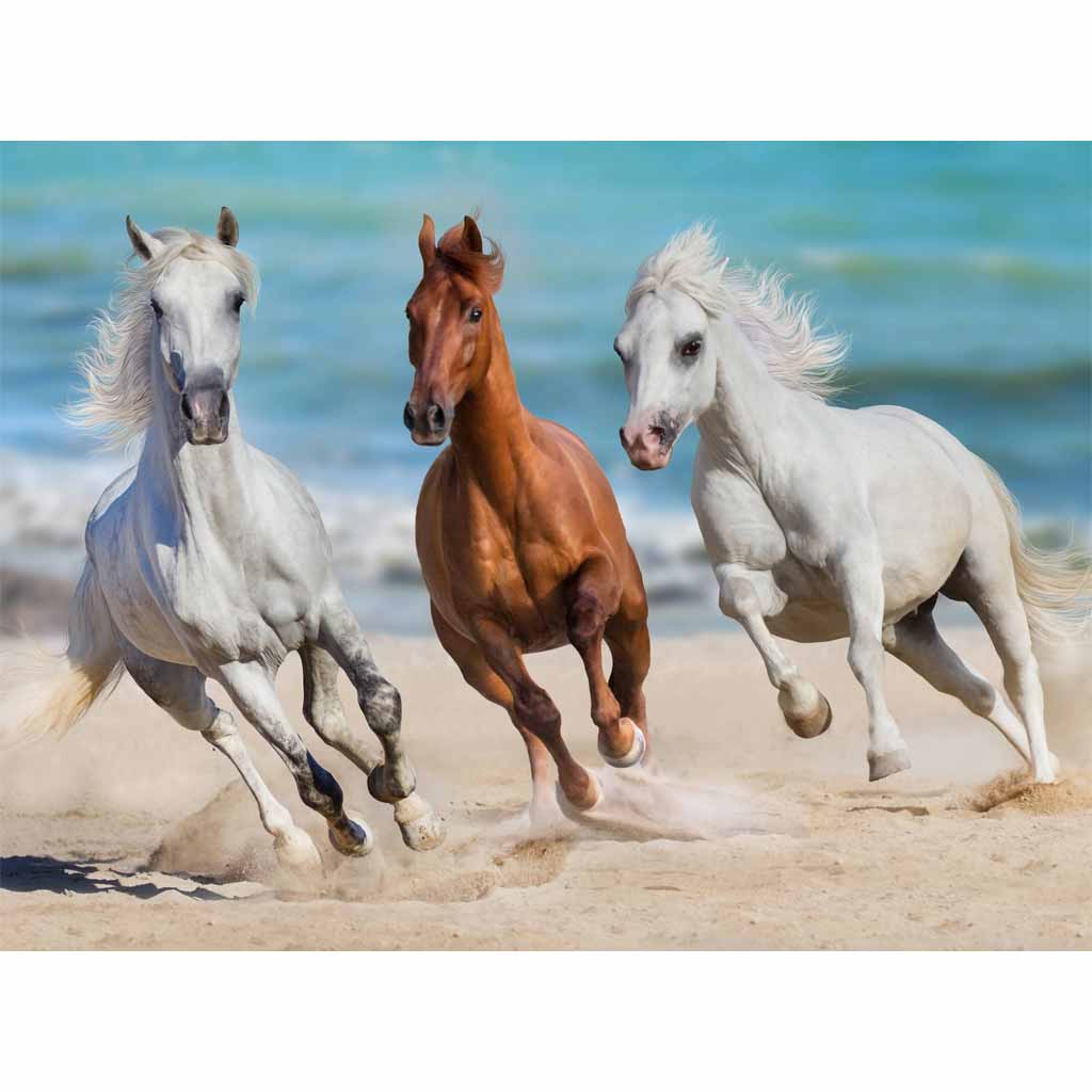 Fototapet Hästar springer på sanden MIDAL